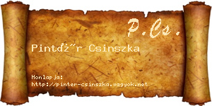 Pintér Csinszka névjegykártya